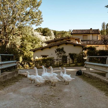 Agriturismo Le Radici Umbertide Extérieur photo